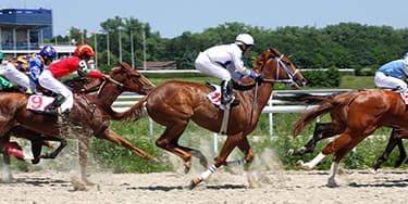 Image of Kentucky Derby Kentucky Oaks