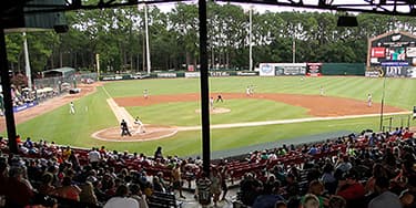 Image of Savannah Bananas