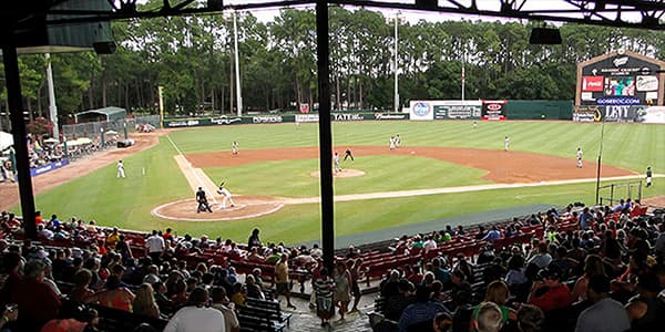 Image of Savannah Bananas