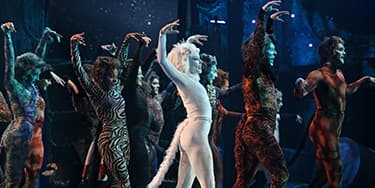 Image of Cats The Musical