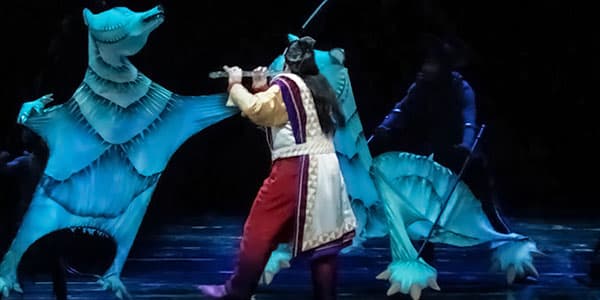 Image of The Magic Flute In Houston