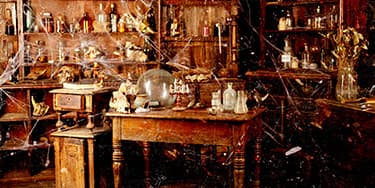 Image of Oddities Curiosities In Buffalo