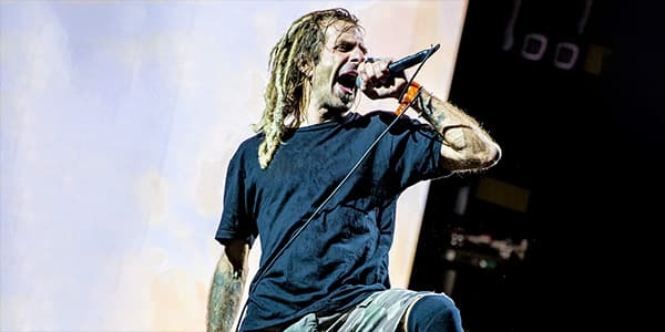 Image of Lamb Of God