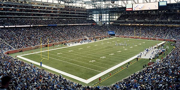 Image of Detroit Lions