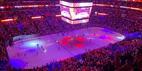 Image of Florida Panthers