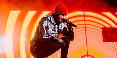 Image of Twenty One Pilots In Tinley Park