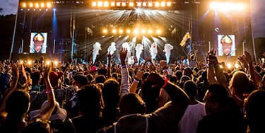 Image of Firefly Music Festival