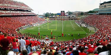 Image of Maryland Terrapins