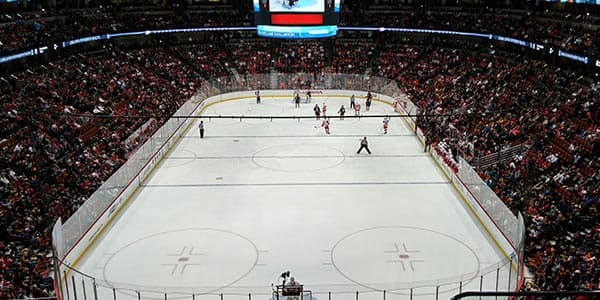 Image of Anaheim Ducks