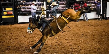 Image of National Finals Rodeo At Las Vegas, NV - Thomas & Mack Center