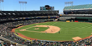 Image of Oakland Athletics In St. Petersburg