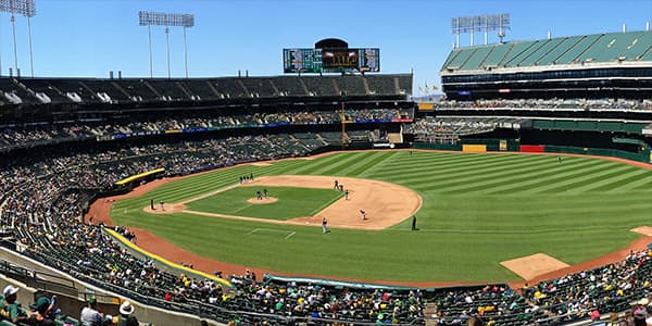 Image of Athletics In Chicago