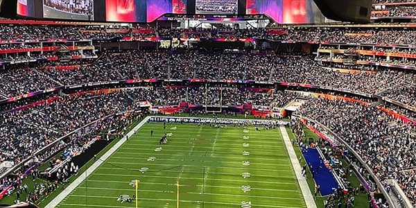 Image of Las Vegas Raiders