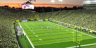 Image of Oregon Ducks In Ann Arbor