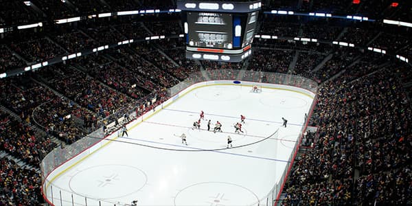 Image of Ottawa Senators
