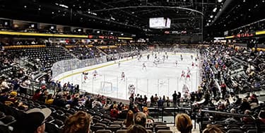 Image of Arizona Coyotes At Tempe, AZ - Mullett Arena