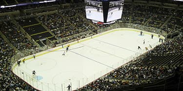 Image of Pittsburgh Penguins