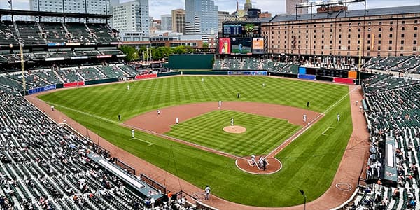 Image of Baltimore Orioles In St. Petersburg