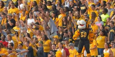 Image of Towson Tigers Football