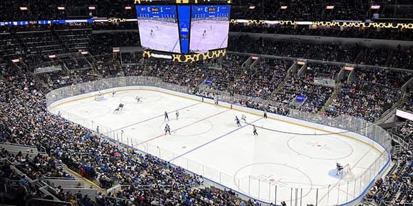 Image of St. Louis Blues