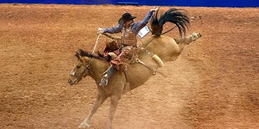 Image of The American Rodeo