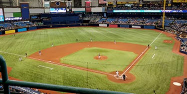Image of Tampa Bay Rays At St. Petersburg, FL - Tropicana Field