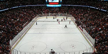 Image of Anaheim Ducks At Anaheim, CA - Honda Center