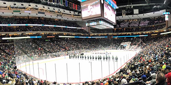Image of Minnesota Wild