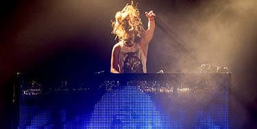 Image of Seven Lions In Morrison