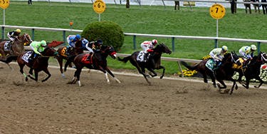 Image of Preakness Stakes In Baltimore