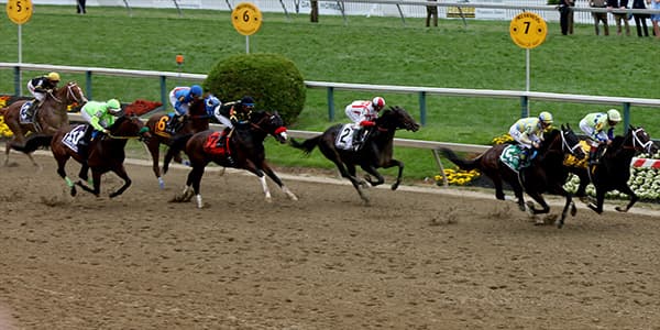 Image of Preakness Stakes