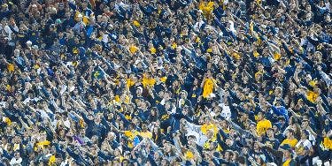 Image of California Golden Bears Football In Pittsburgh