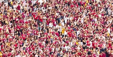 Image of Florida State Seminoles Football In Tallahassee