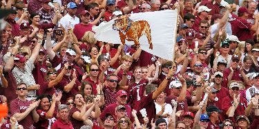 Image of Mississippi State Bulldogs Football In Knoxville