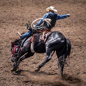 Image of San Antonio Stock Show And Rodeo At San Antonio, TX - Frost Bank Center