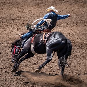 Image of Washington State Fair Rodeo