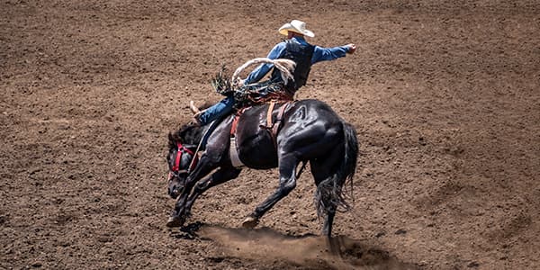 Image of San Antonio Stock Show And Rodeo In San Antonio
