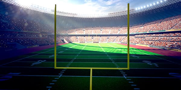 Image of NFL Pro Football Hall of Fame Enshrinement Ceremony