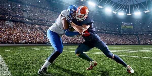 Image of Winnipeg Blue Bombers