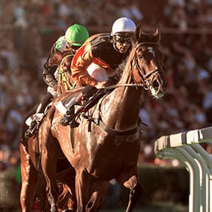 Image of Thoroughbred Racing Live